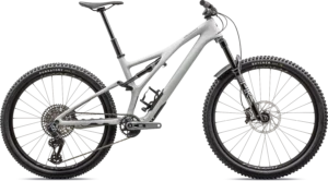 Specialized Stumpjumper LTD 2024 - Grå