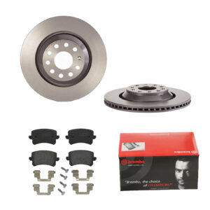BREMBO Bremsesæt, skivebremser 142055216 bagaksel indvendig ventileret 310mm 22mm for VW SEAT VW (FAW)