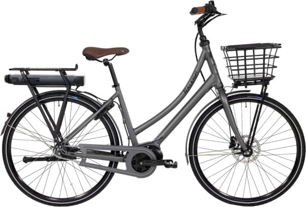 Raleigh Sussex E2 Grå