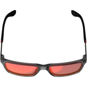 Cykelbriller Leatt TheViz Sierra Polarized - grå/rød one size